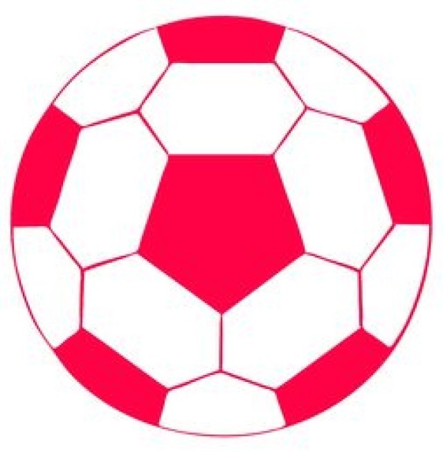 中国九游体育-中小学体育运动技能测试方法研究，中小学体能训练方法与手段