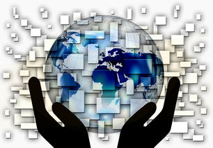 九游官网入口-全国电子竞技公开赛上海收官，全国电子竞技大赛官网2020